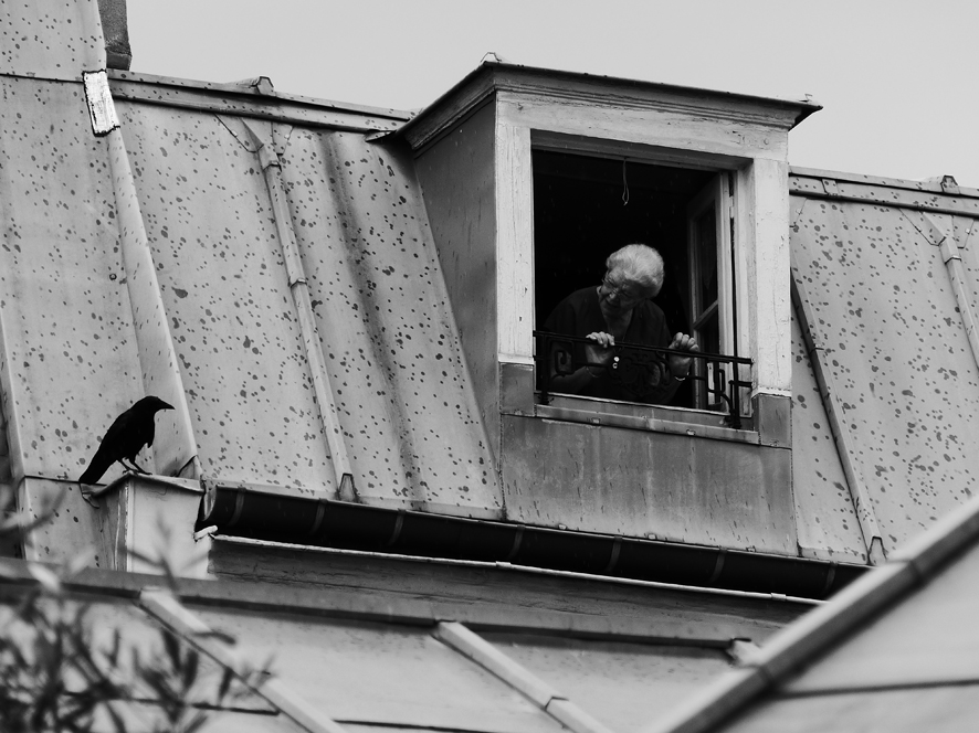 La dame et le corbeau 